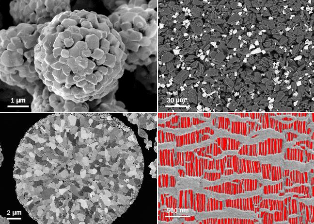 六安蔡司六安扫描电镜