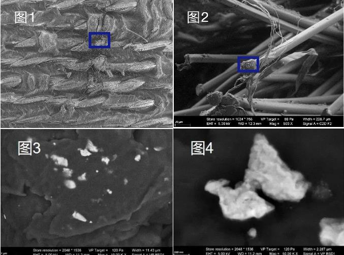 六安蔡司六安扫描电镜