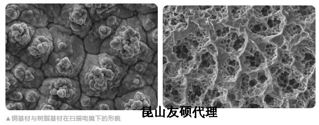 六安蔡司六安扫描电镜