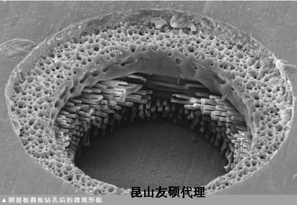 六安蔡司六安扫描电镜